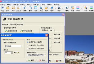 怎么把照片缩小一点?
