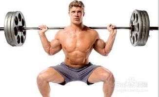 腿部肌肉锻炼，腿部肌肉锻炼动作大全