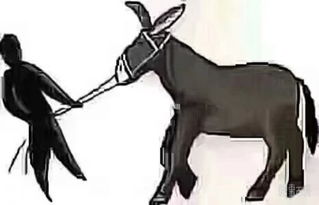 驴为什么是所有动物中最“犟”?