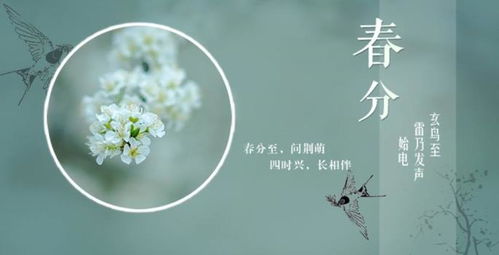 春分的谚语，春分的谚语有哪些