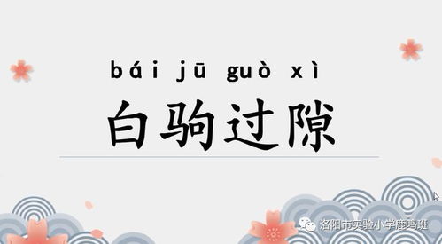 白驹过隙的读音是什么