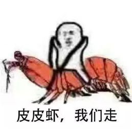 皮皮虾我们走是什么梗