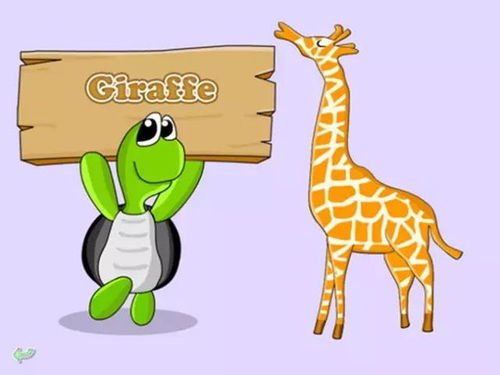 长颈鹿的英文