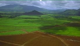 三亩地是多少平方米?