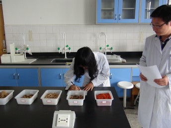 江苏春季高考有本科吗