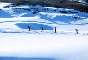 请问一下,春秋航空的9c8936航班6月20日晚到达浦东机场的时间是多少