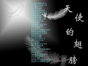 天使的翅膀背后的故事