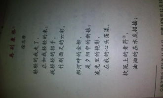 村晚的诗意是什么?