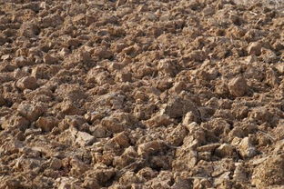 “土乞”念什么?