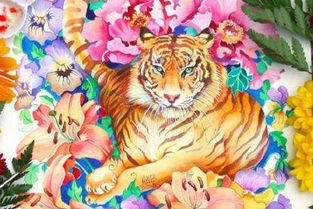 前程似锦打一动物(十二生肖)求解