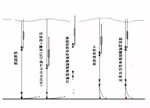 漂浮的近义词是什么