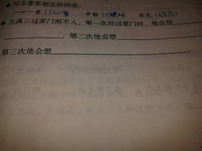 安定的反义词，安定的反义词是什么词