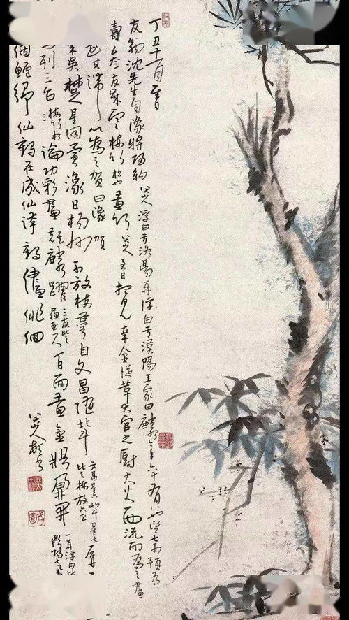 岁寒三友是指什么