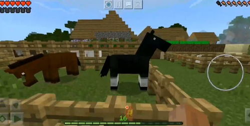 我的世界如何驯服马