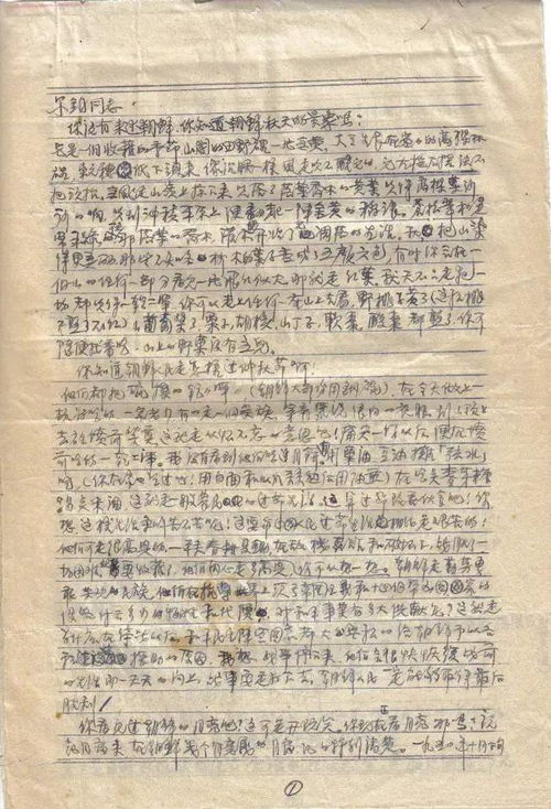 寻根究底是什么意思