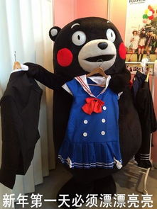熊本熊的介绍
