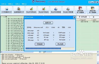 数据库文件有几种类型,有何区别呢?