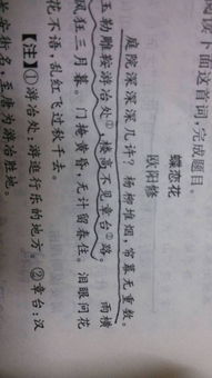 描写蝴蝶的诗句