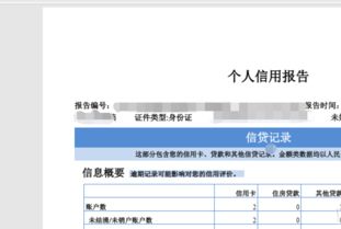 网上可以查个人征信报告吗?