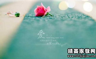 史铁生《我与地坛》好词好句摘抄