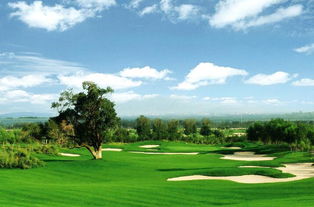 高尔夫球场地面积有多大?