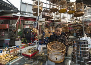 北京有哪些古玩城