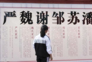 百家姓的排名顺序