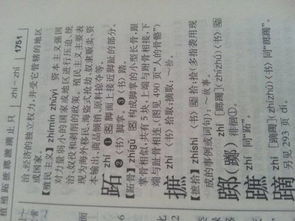 足字旁加一个石头的石念什么?