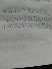用既又造句有哪些