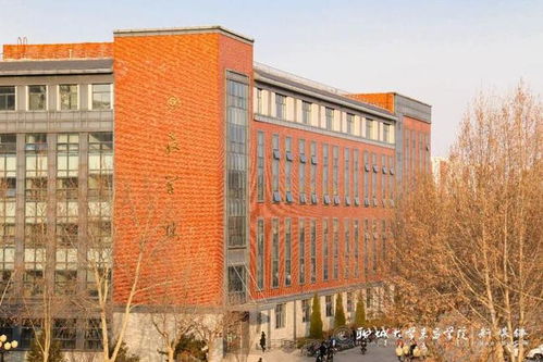 聊城大学东昌学院好不好?