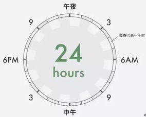 生物钟是什么意思啊?