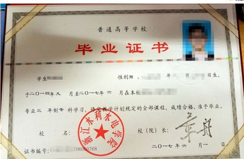 大专和中专有什么区别??