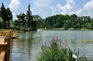 观山湖区景点
