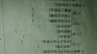 满组词有哪些词语