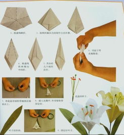 百合花折纸