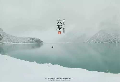 岁寒知松柏，岁寒知松柏的下一句是什么?