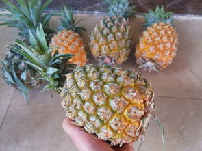 削菠萝的简单方法