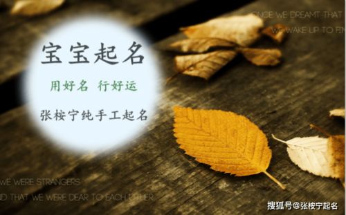 霸气的名字