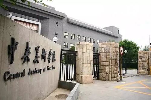 河北工艺美术职业学院单招分数线