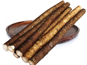 牛蒡根泡水功效与作用 牛蒡根泡水功效与作用介绍