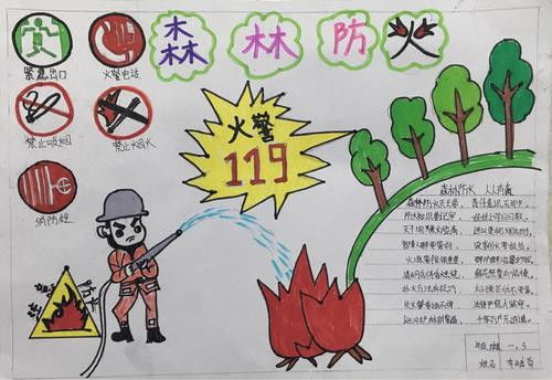 2020森林防火手抄报图片大全