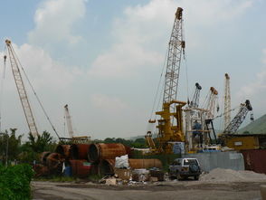 大兴土木,猜一生肖