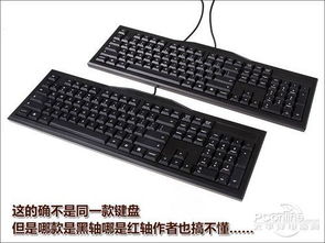 红轴和黑轴的区别