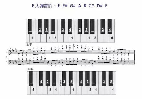 F大调音阶什么音