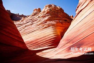 奇丽的反义词是什么