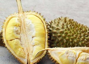 榴莲一般是什么季节吃的?大概在几月份?