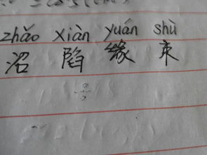 “包扎”的读音是什么?