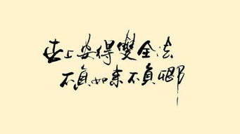 不负时光,不负韶华是什么意思?