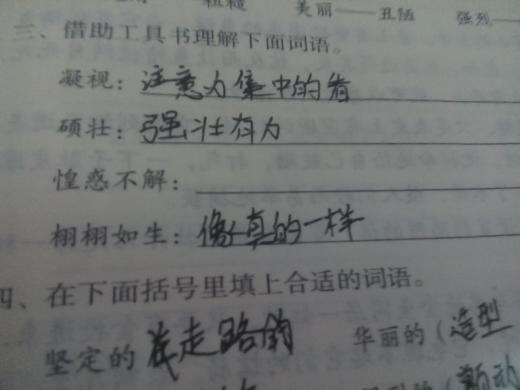 “惶惑”是什么意思?