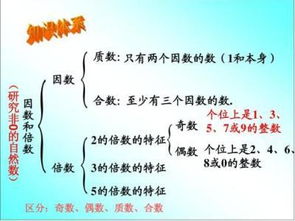 20的因数有哪几个 20的因数有哪些